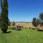 Staffolino *